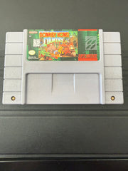Donkey Kong country
