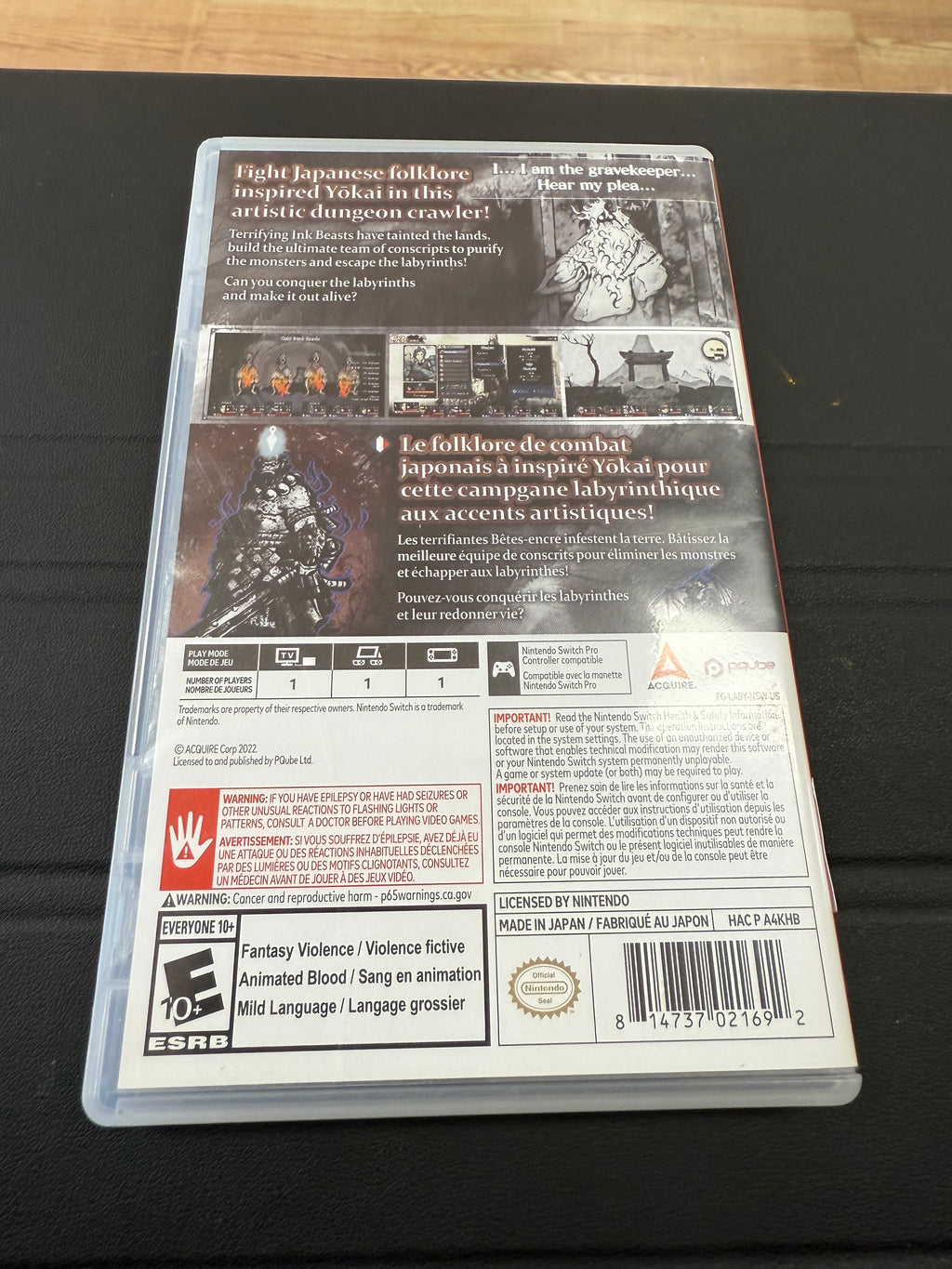 Labyrinth Of Zangetsu
