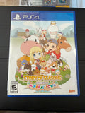 Story of Seasons: Friends of Mineral Town