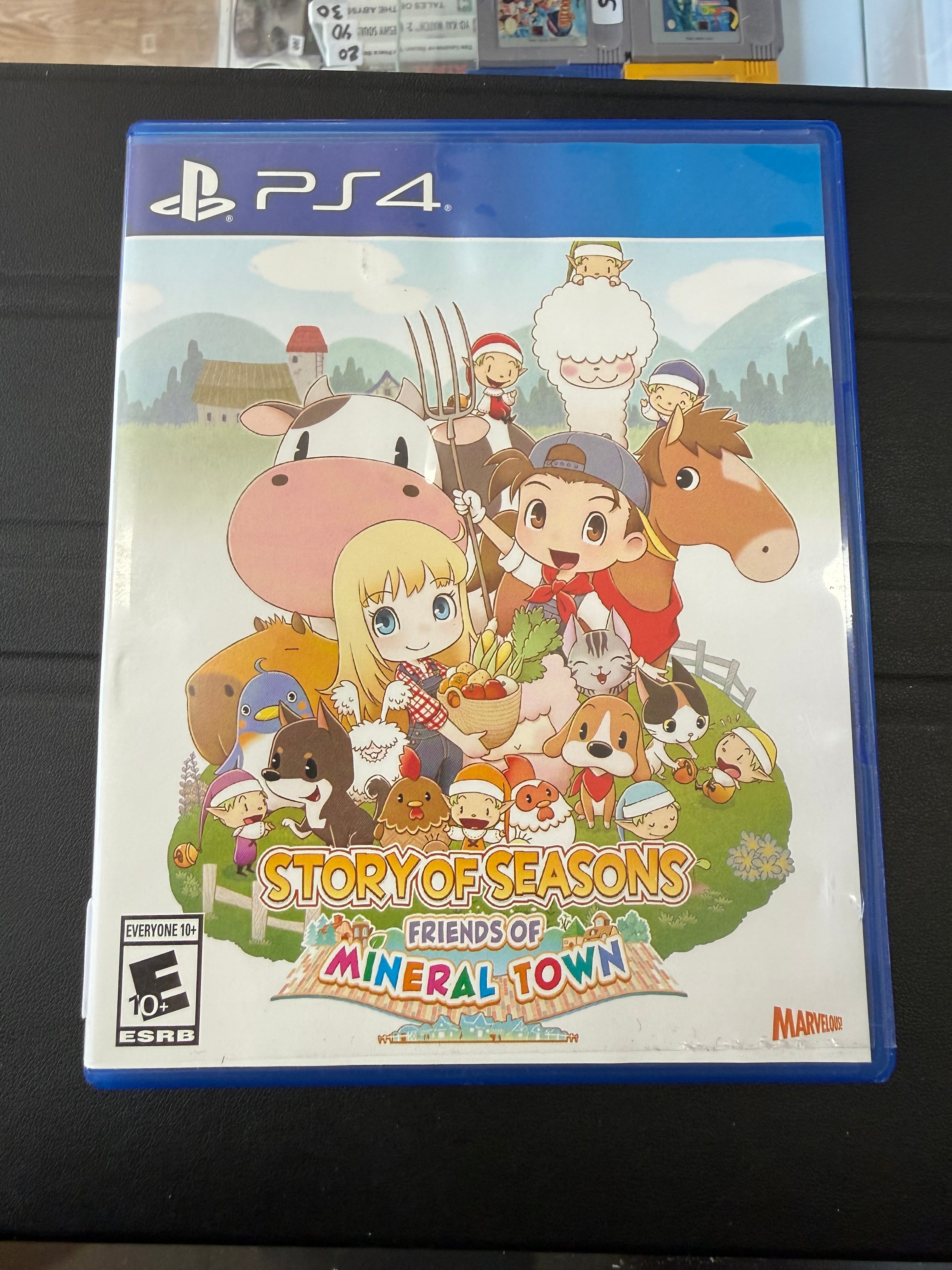 Story of Seasons: Friends of Mineral Town