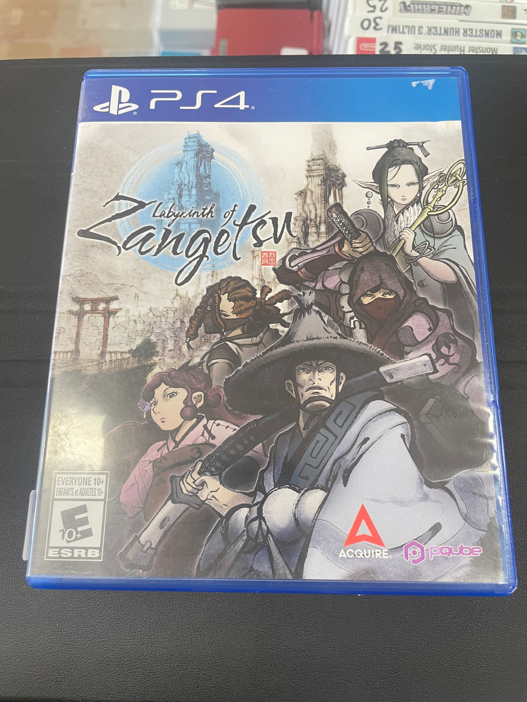 Labyrinth of Zangetsu
