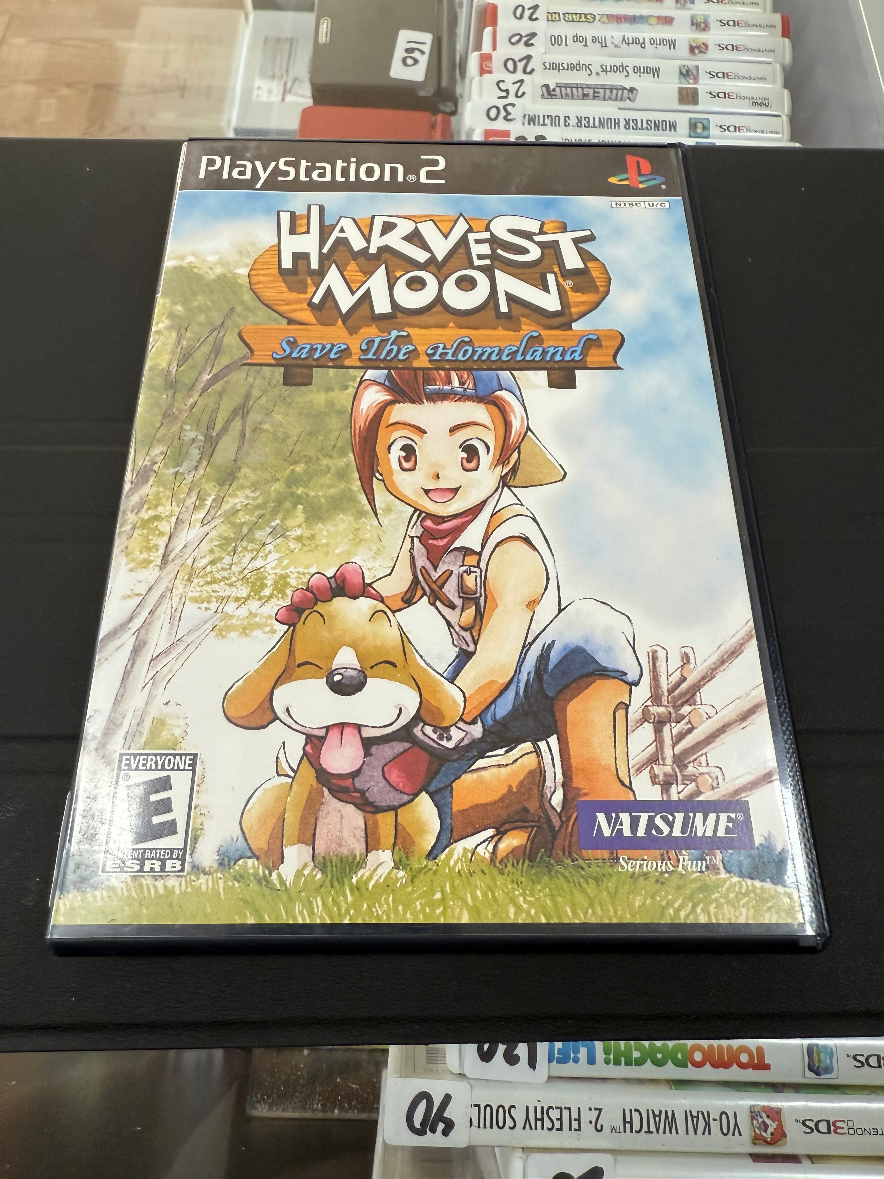 Harvest Moon Save the Homeland