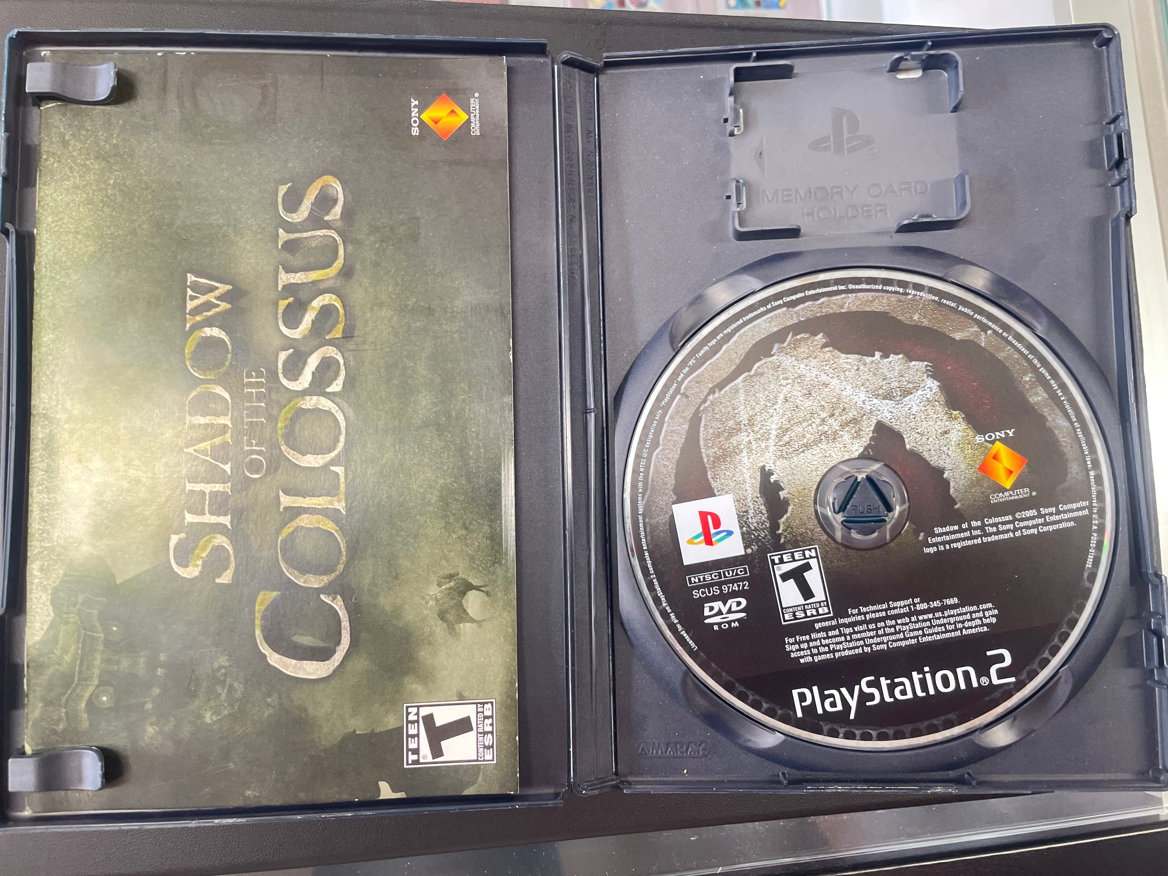 Shadow of the Colossus