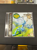 A Bug’s Life