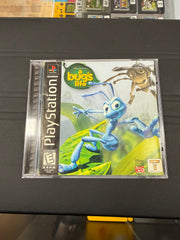 A Bug’s Life