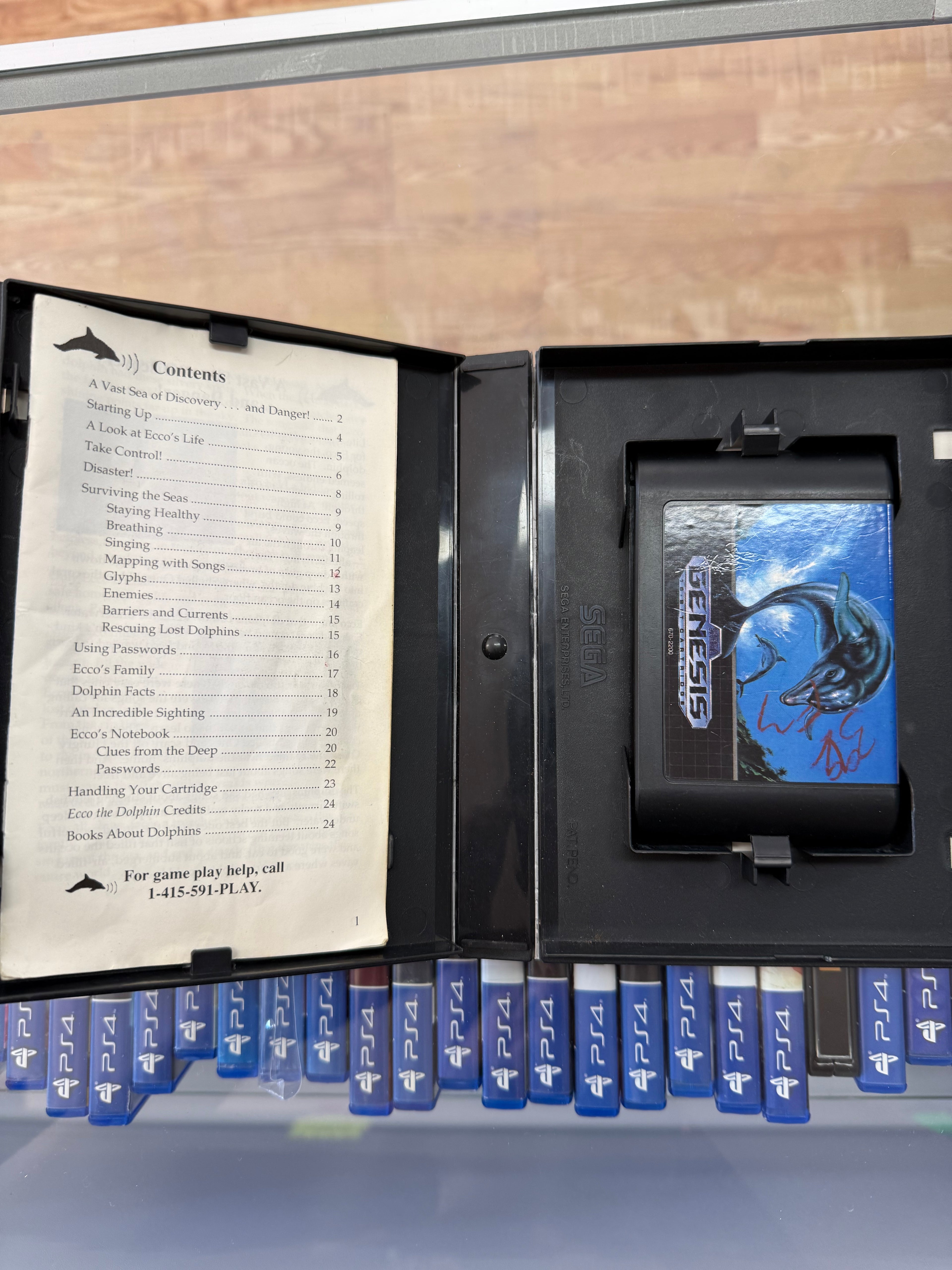 Ecco the Dolphin