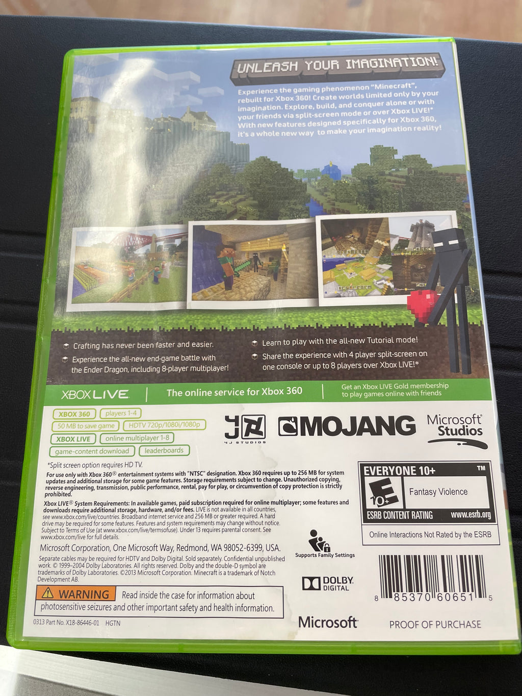 Minecraft Xbox 369 edition