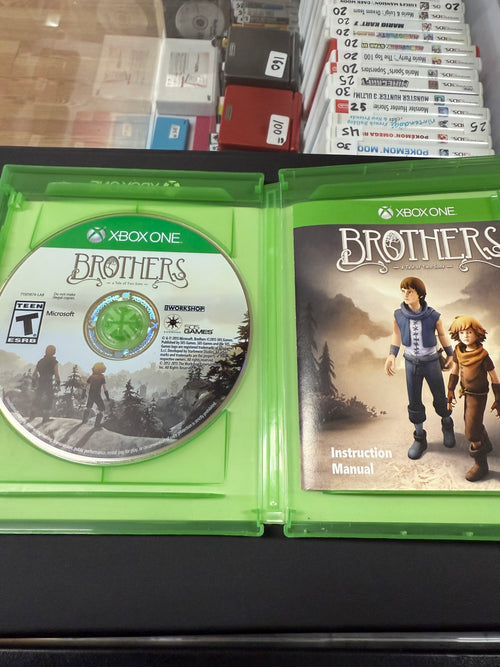 Brothers: A Tale of Two Sons