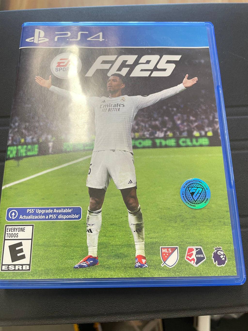 FC 25