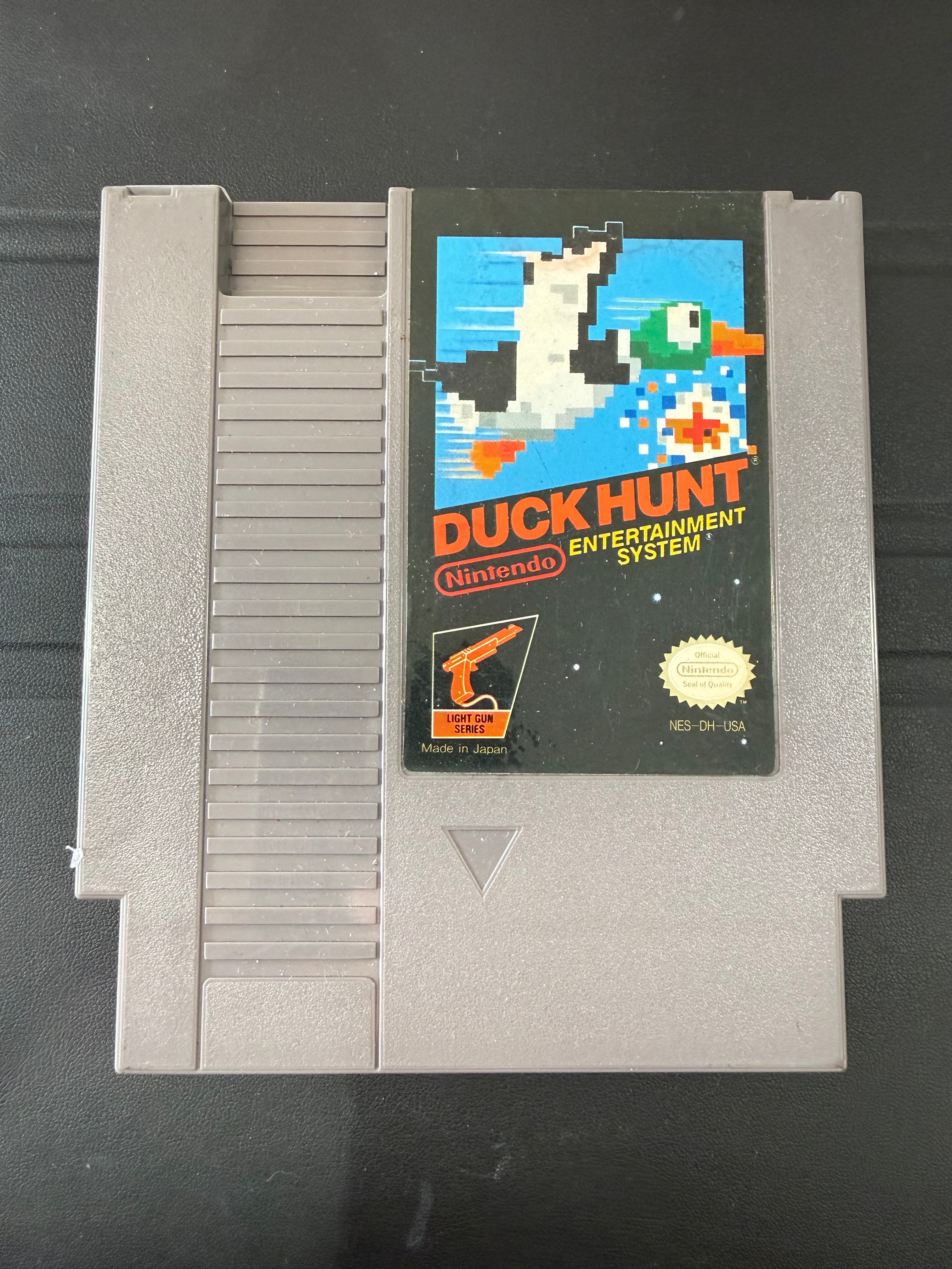 Duck Hunt