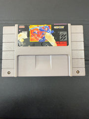 Mega Man 7
